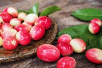 Gincu Sejuk daripada Andes Glacier's Miracle Fruit Sap