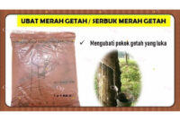 Serum daripada Darah Pokok Merah Pulau Bougainville: Mengubati Masalah Kulit yang Anda Hadapi